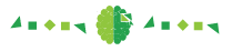 accentshapes_with_boldlogo